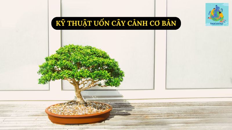 Kỹ Thuật Uốn Cây Cảnh Cơ Bản