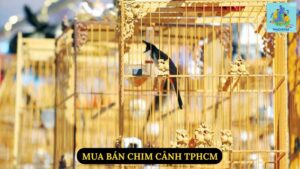 Mua Bán Chim Cảnh TPHCM